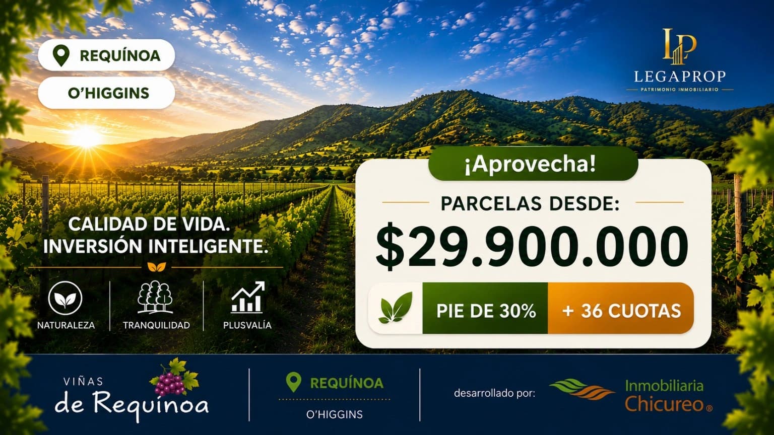 Viñas de Requínoa